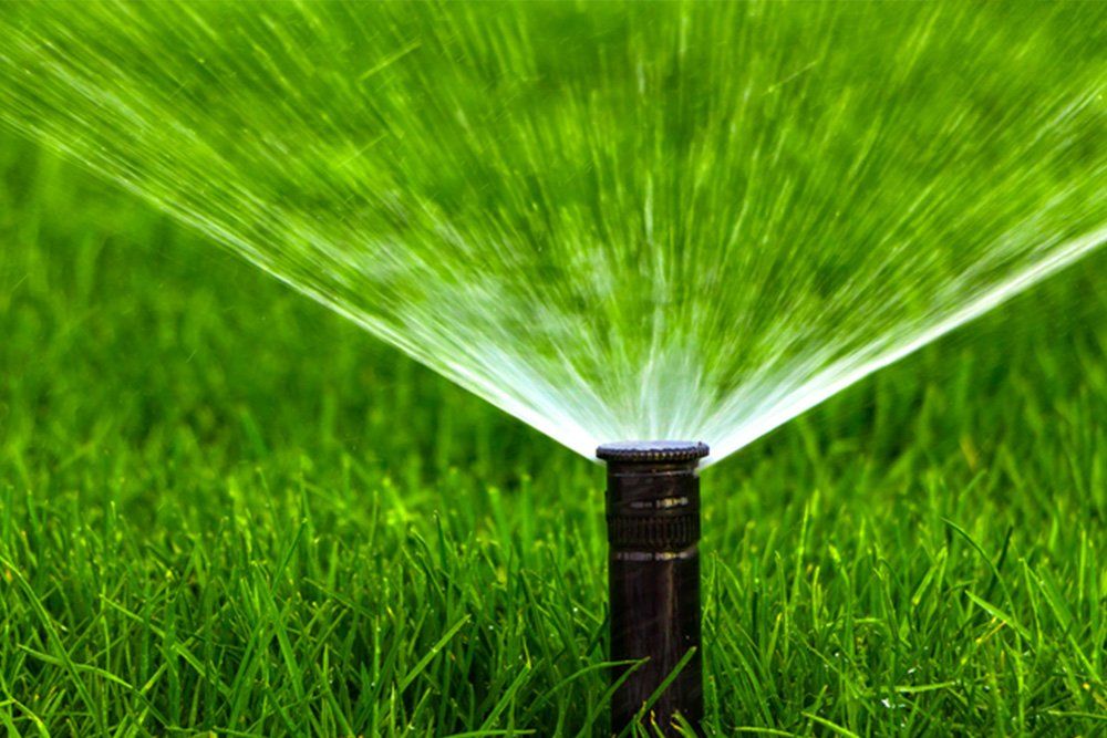 Fertilize Sod Care — Duette, FL — AllState Sod