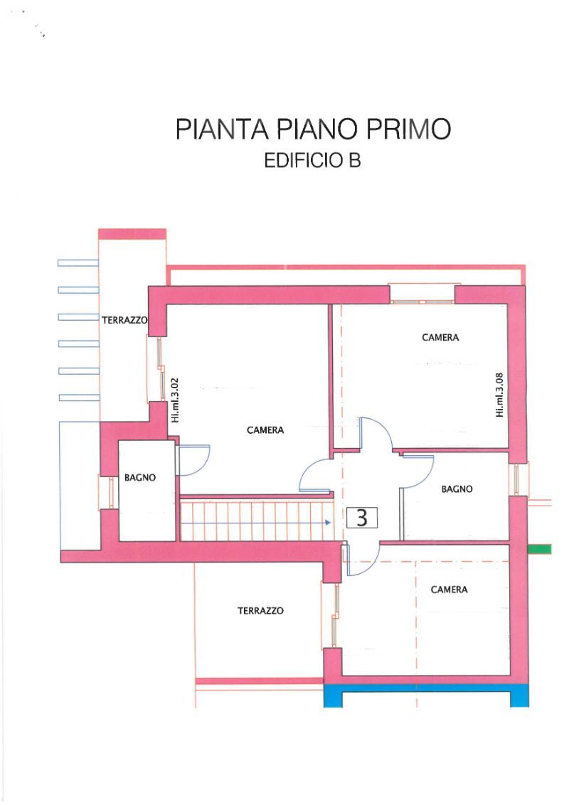 pianta primo piano