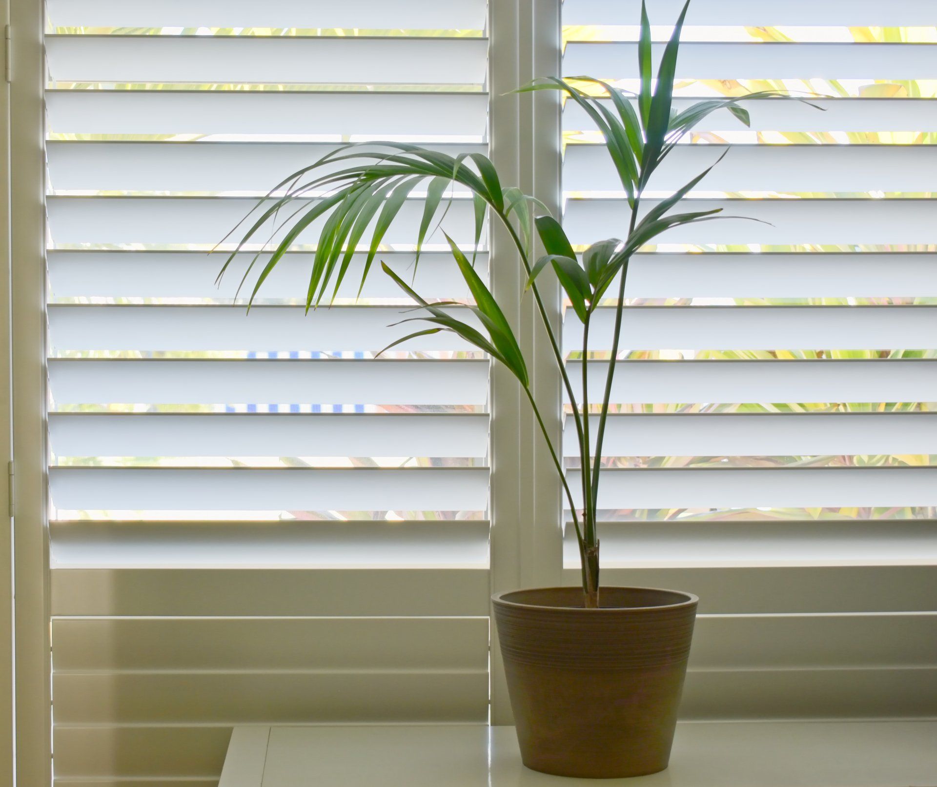 Luxury White Indoor Plantation Shutters — Custom Blinds & Flooring in Caboolture, QLD