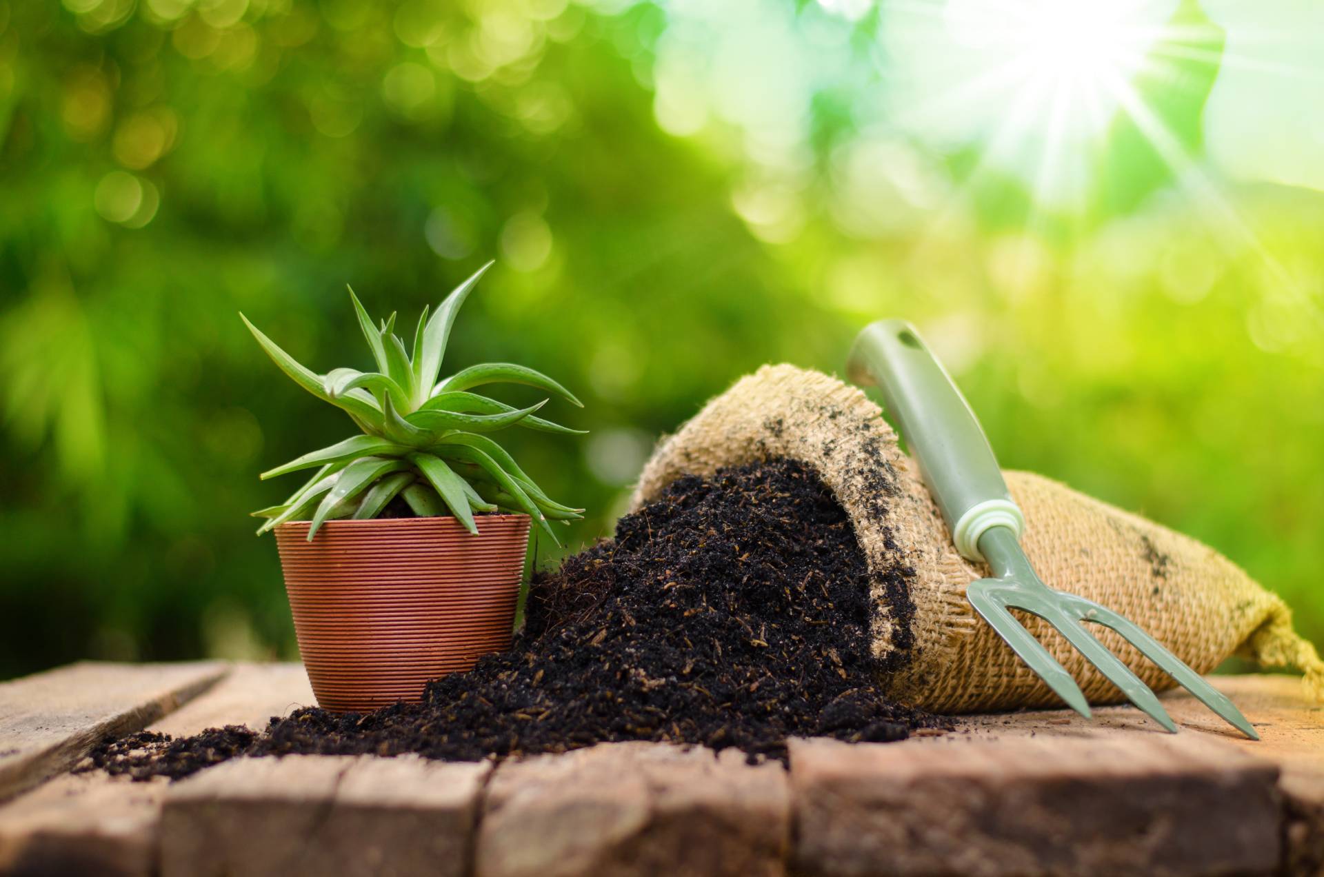 Concimi e fertilizzanti