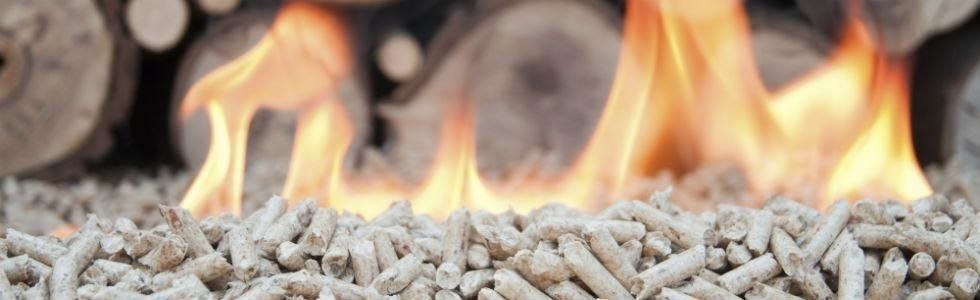 vendita pellet
