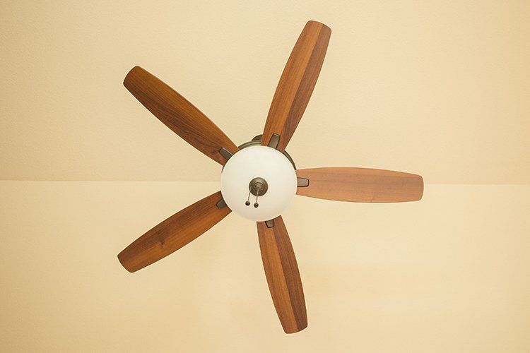 Looking Up at Ceiling Fan