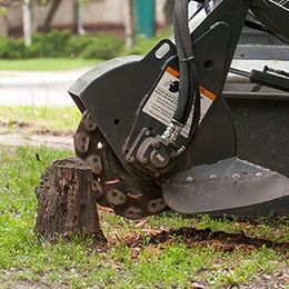 grinding the stump