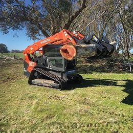 removing the log