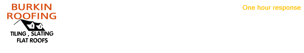 01562 742542
