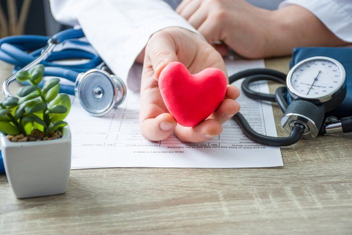 Doctor Holding a Toy Heart — St. Clair Shores, MI — Eastlake Cardiovascular, P.C.