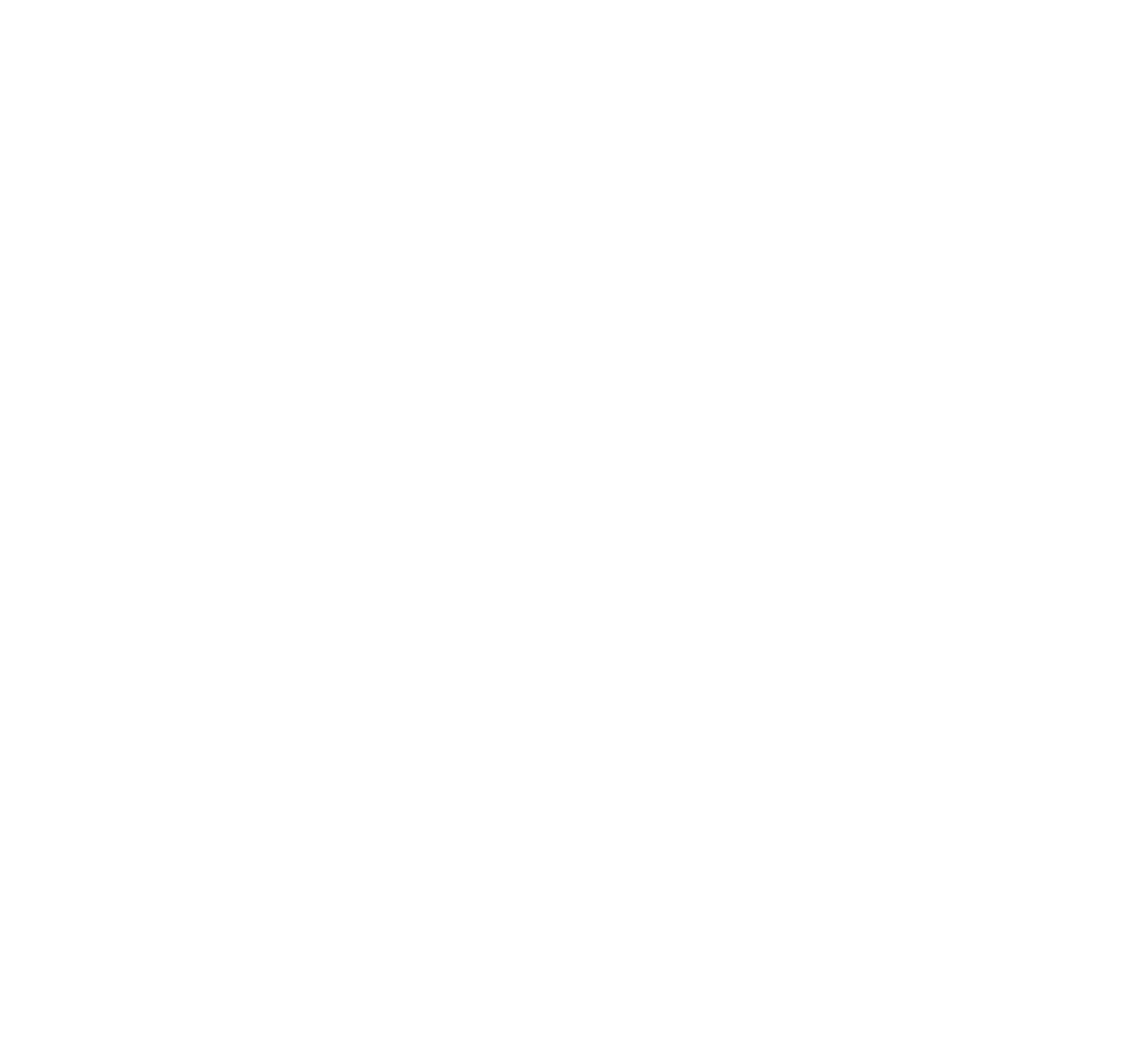 The Online Coach The Online Coach