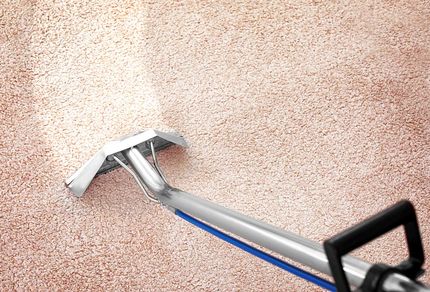 Vacuuming Carpet in the Living Room — Carpet Cleaning in Coffs Harbour Vacuuming Carpet in the Living Room — Carpet Cleaning in Coffs Harbour