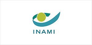 Inami Logo