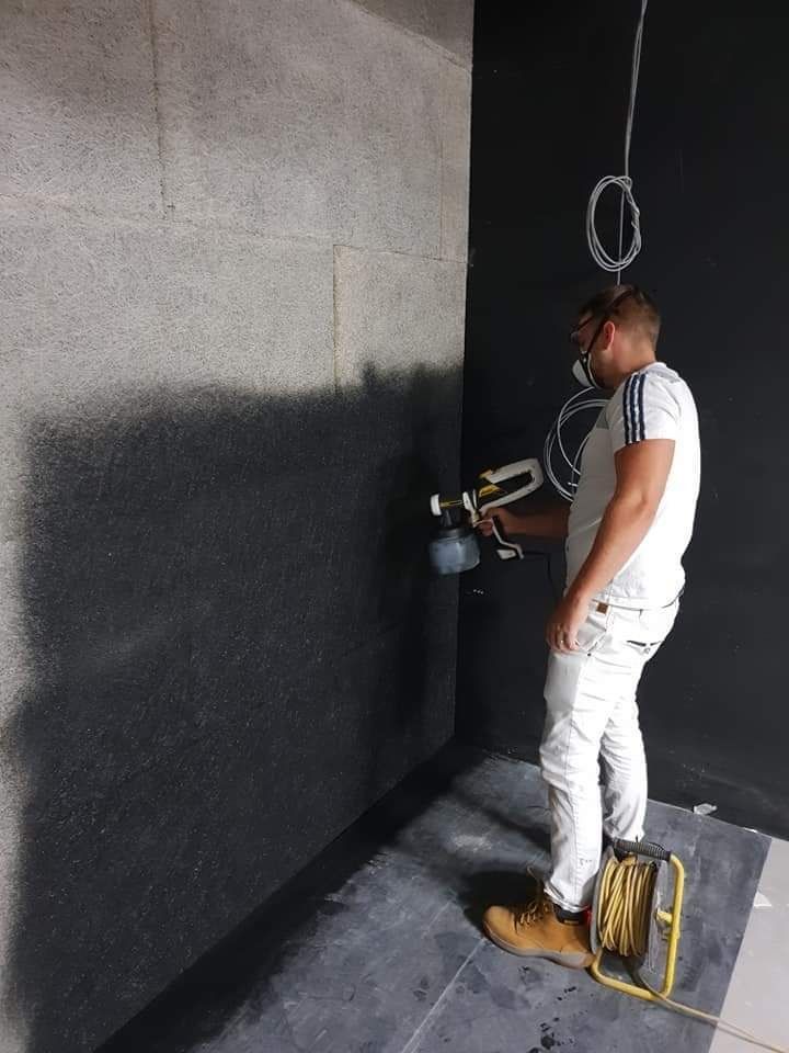 Professional property painters