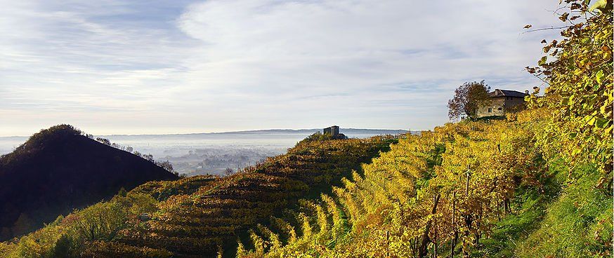 Paesaggio collinare
