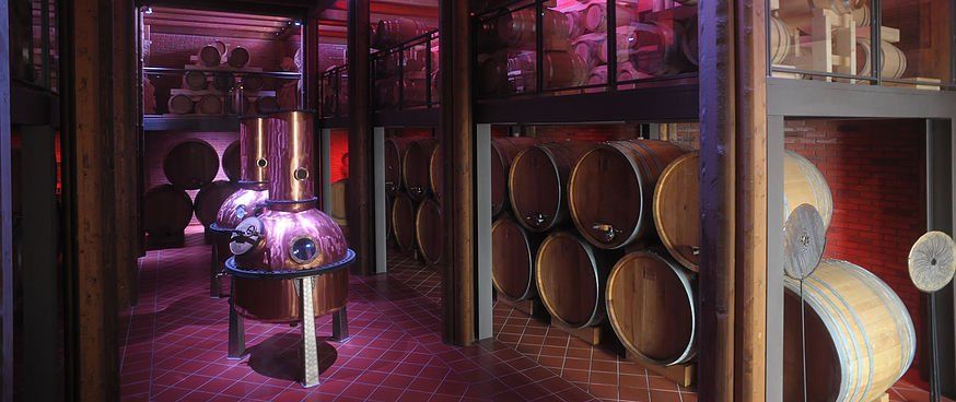 Cantina con botti in legno