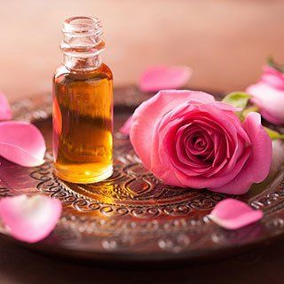 rose