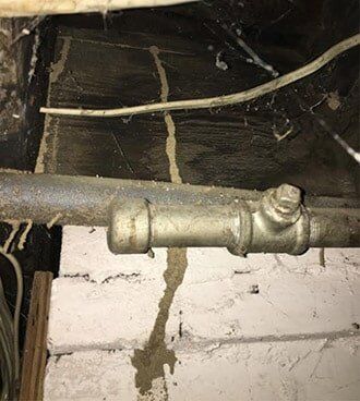 Termite problem — pest control in Johnstown, PA Termite problem — pest control in Johnstown, PA