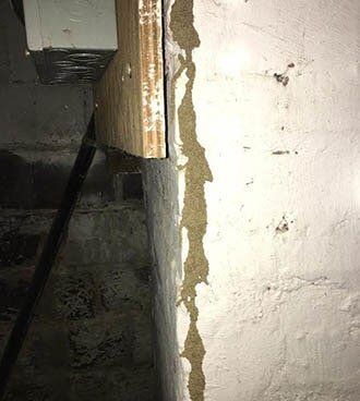 Termite Mud — termite control in Johnstown, PA Termite Mud — termite control in Johnstown, PA