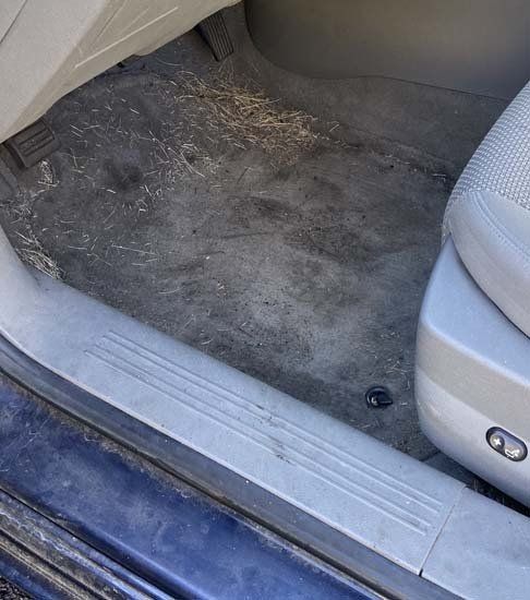 dirty floor board