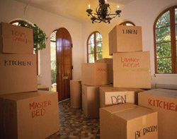 image-1332999-all-packed.jpg