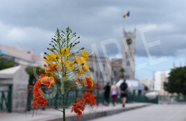 Silver Medal - Bridgetown, The Pride of Barbados Silver Medal - Bridgetown, The Pride of Barbados