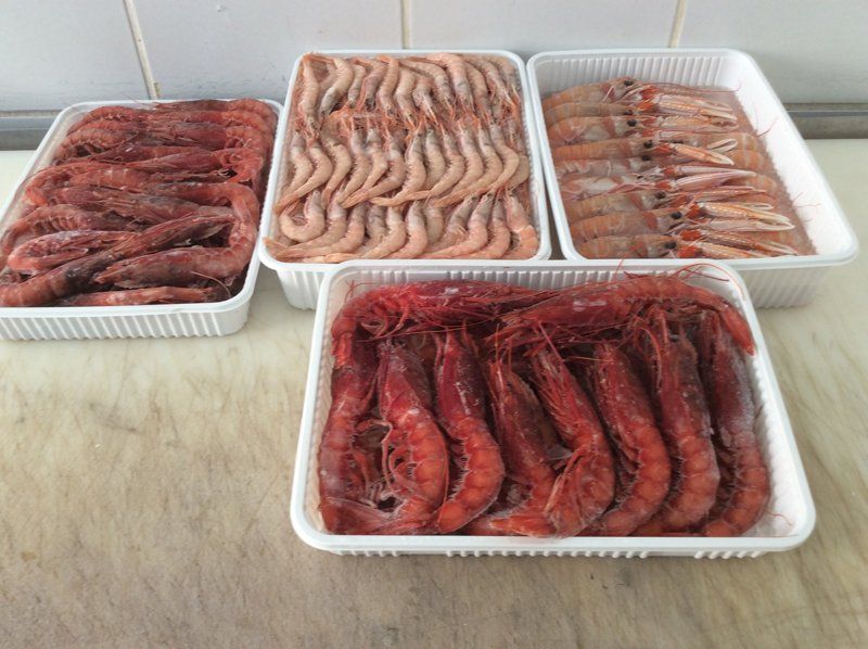 Assortimento di gamberoni