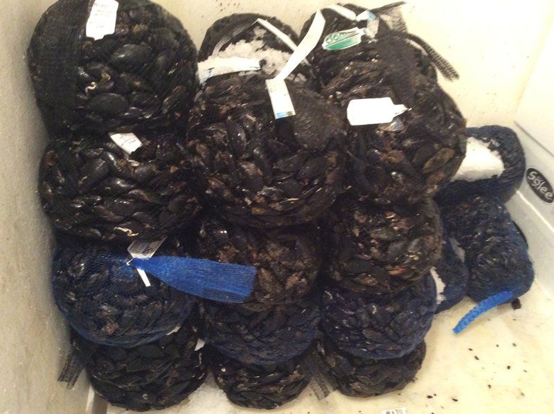 Cozze