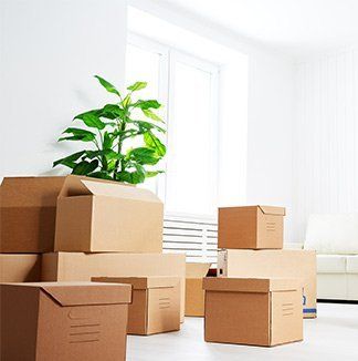 Broad Mini Storage — Storage Boxes And A Plant in Henrico, VA Broad Mini Storage — Storage Boxes And A Plant in Henrico, VA