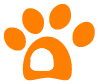 Overnight Pet Boarding San Angelo, TX