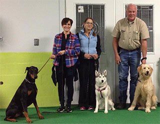 Pet Grooming San Angelo, TX
