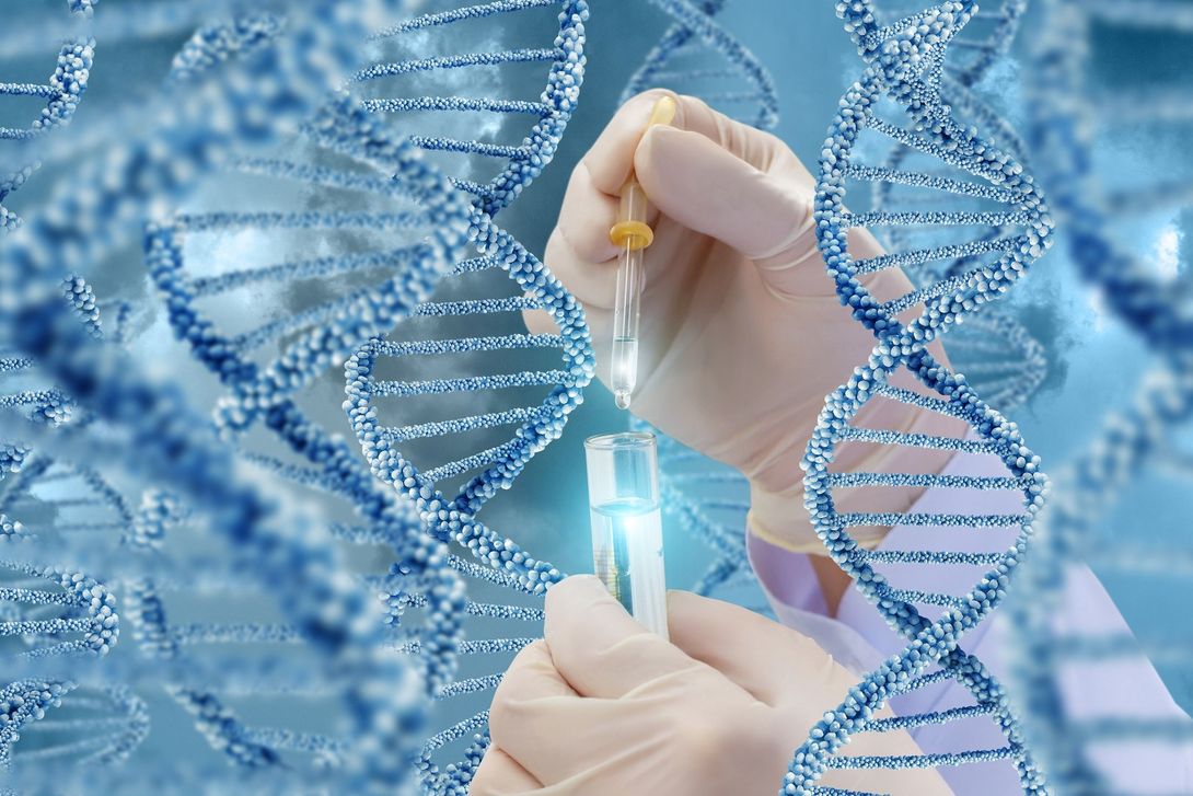Analisi del dna