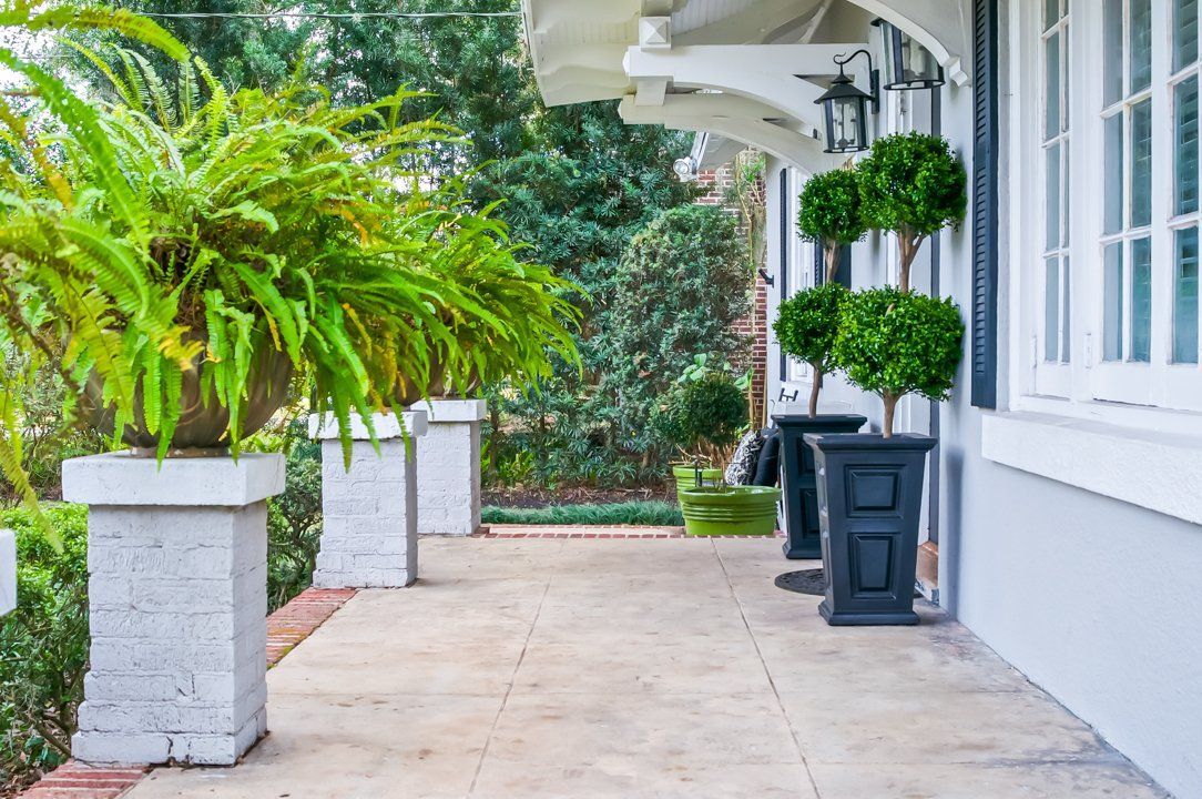 A porch with potted plants and ferns in front of a white house.