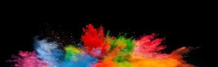 Pigment Dispersion