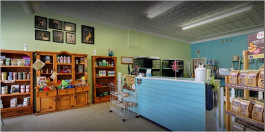 Dog Splash - Pet day spa in Chicago, IL