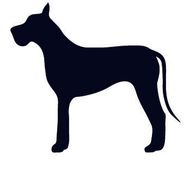 Large dog - Large dog grooming in Chicago, IL