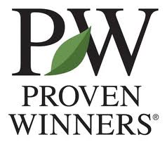 proven winners plants