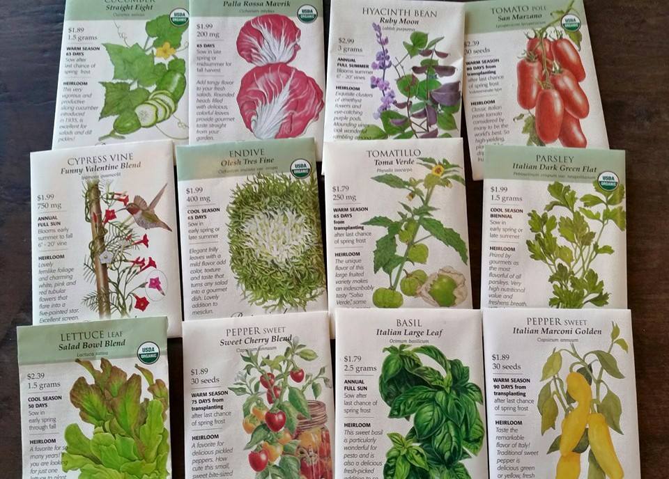 seeds