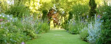 Hedge Cutting Hedge Pruning Tamworth Garden Services