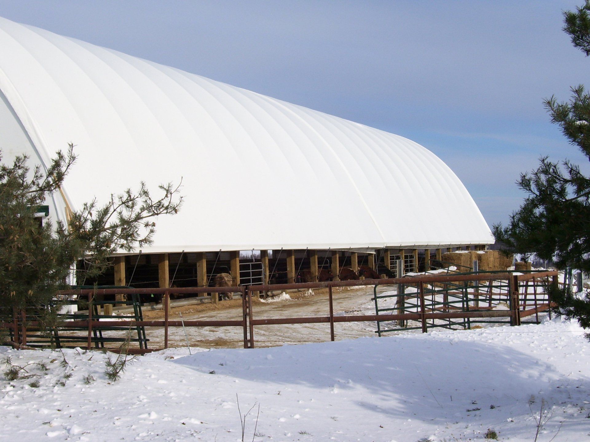 ARCH SPAN BUILDINGS AGRICULTURE LIVESTOCK INDUSTRY