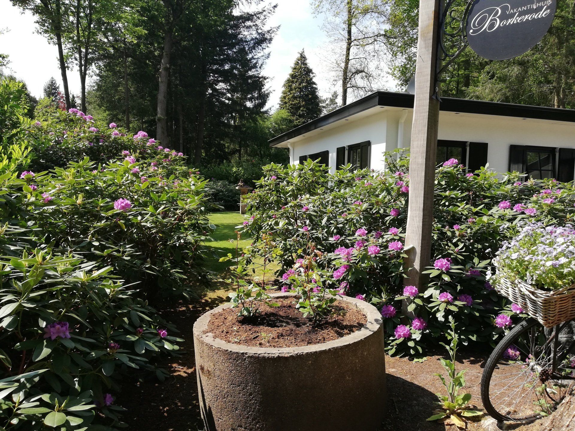 Een tuin met een lage, ronde plantenbak, bloeiende roze bloemen en een huis met een bord waarop 'Vakantiehuis Borkerode' staat.