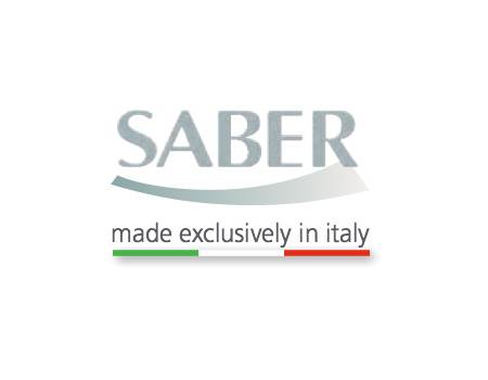 Saber Logo