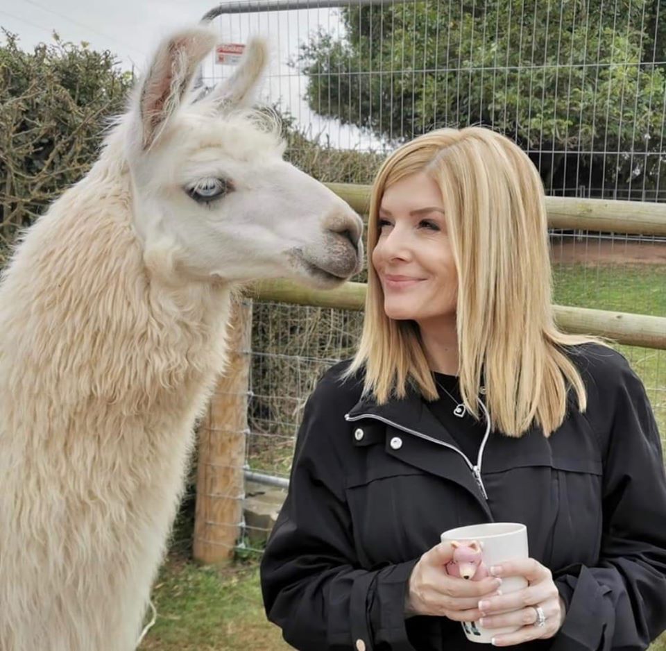 Llama on a farm