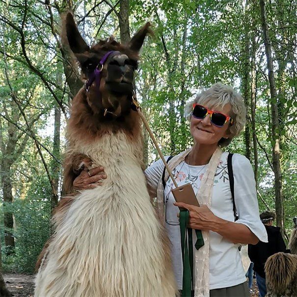 Llama Experience Without Food