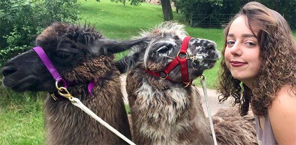 Llama