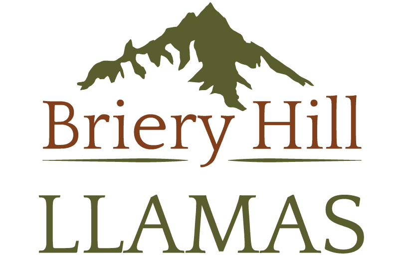 Briery Hill Llamas