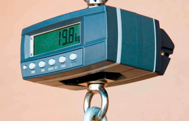 close-up of a scale