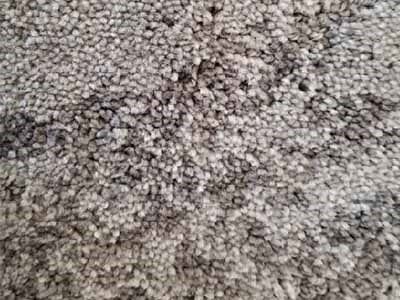 Spice Stone - Tile Installation in Bridgewater, PA