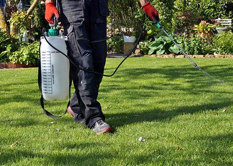 Spraying On Grass — Pittsburgh, PA — Congleton Landscape & Supply