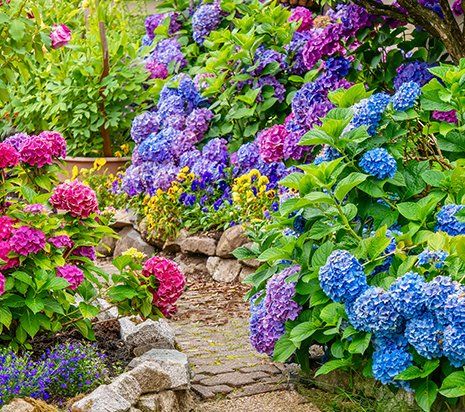 Flower Garden — Pittsburgh, PA — Congleton Landscape & Supply Flower Garden — Pittsburgh, PA — Congleton Landscape & Supply