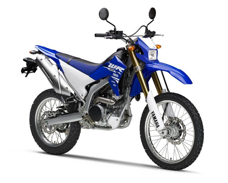 WR250R