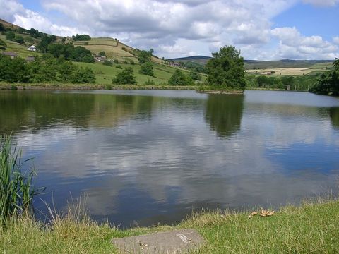 Lake in summer Lake in summer