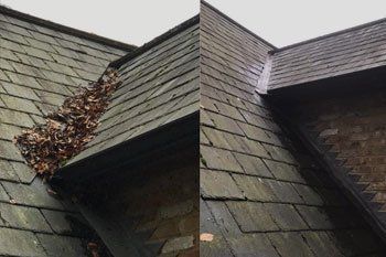 roof cleaned