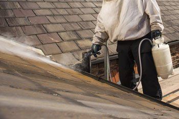 roof cleaning